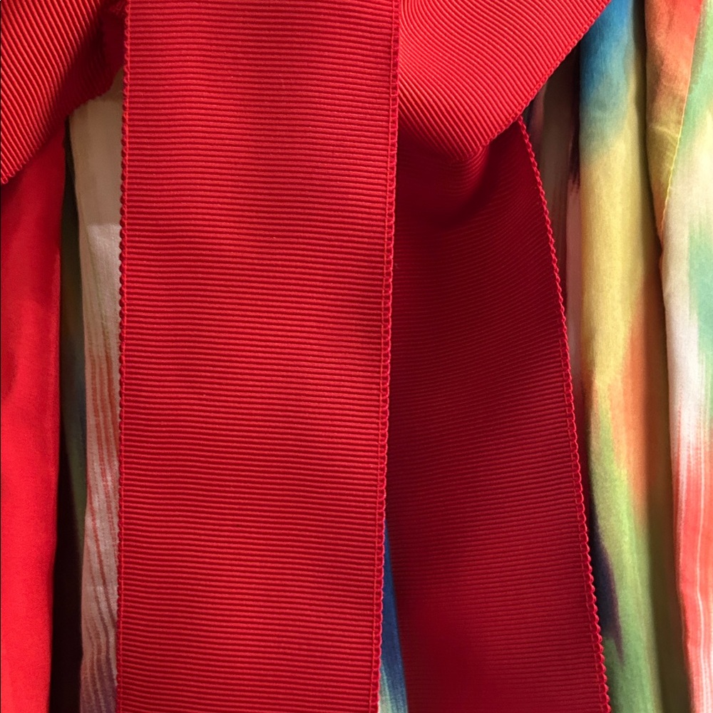 Ted Baker Multicolor Ruffled Mini Dress - Picture 6 of 6